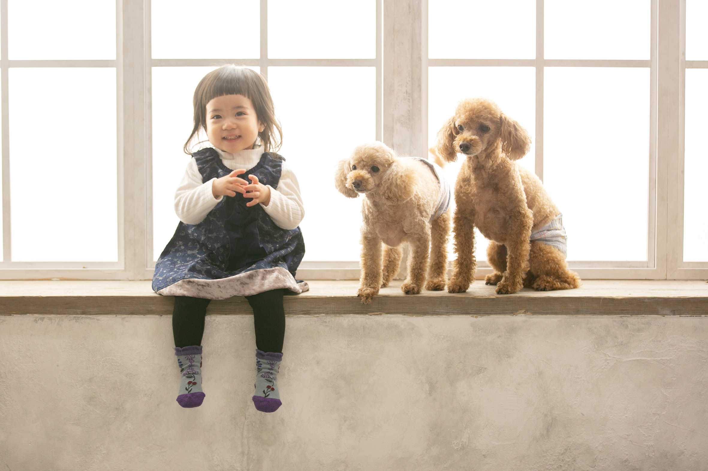 帯広ペット写真