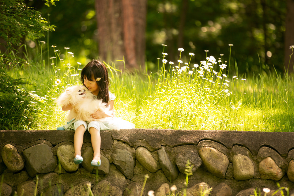 ロケーション撮影